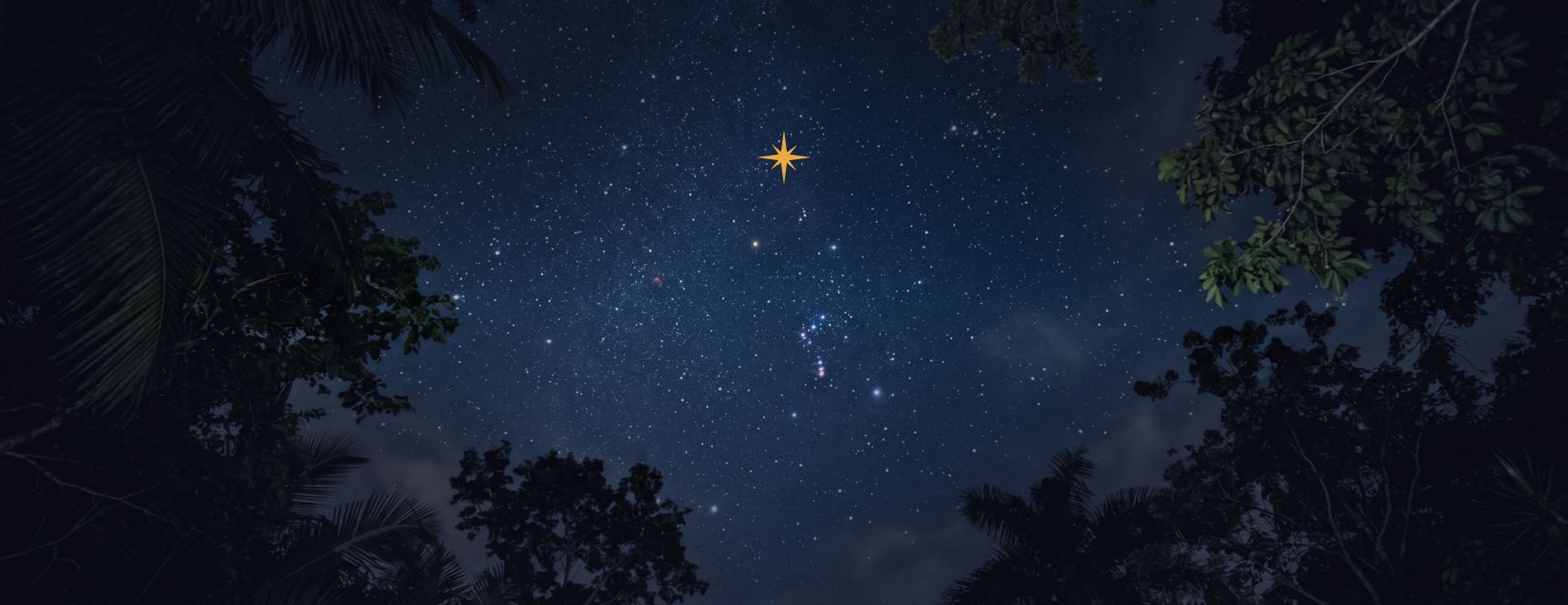 Ven y conoce tu próxima estrella